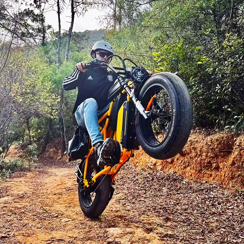 A-SPADZ Cavet Air Fatbike Electric Bike image 4