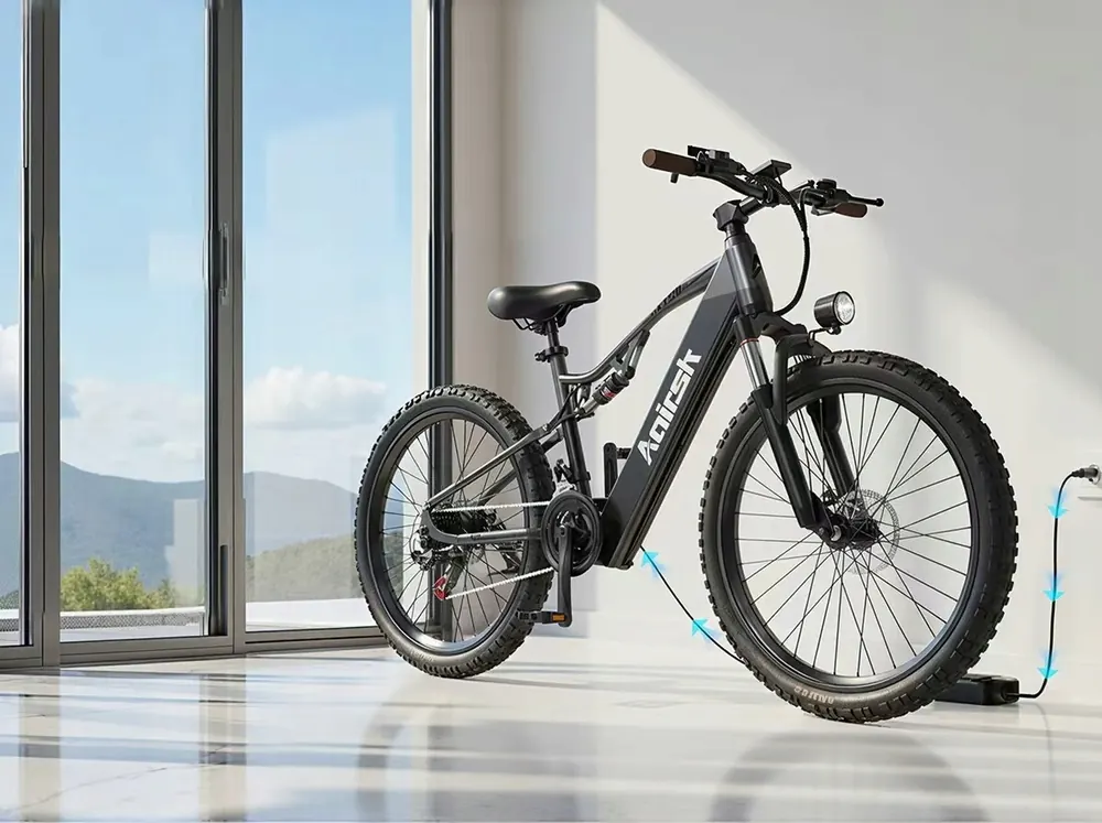 Aairsk XT90 in XL frame size for riders up to 200 cm tall