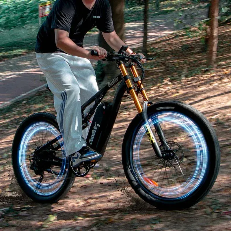 ChamRider DH420 electric bike full side view on a city street, showing its sturdy frame and fat tires.