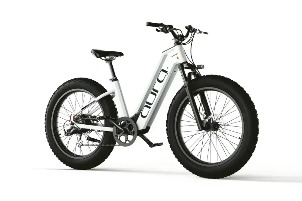 Cyrusher Aura Step-Through Electric Bike image 14