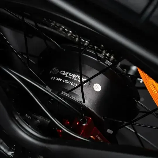 Hydraulic disc brake rotor and caliper on the front wheel of the Cyrusher Kommoda 3.0.