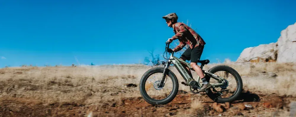 Close-up of the Cyrusher Rover's 750W rear hub motor and fat tire