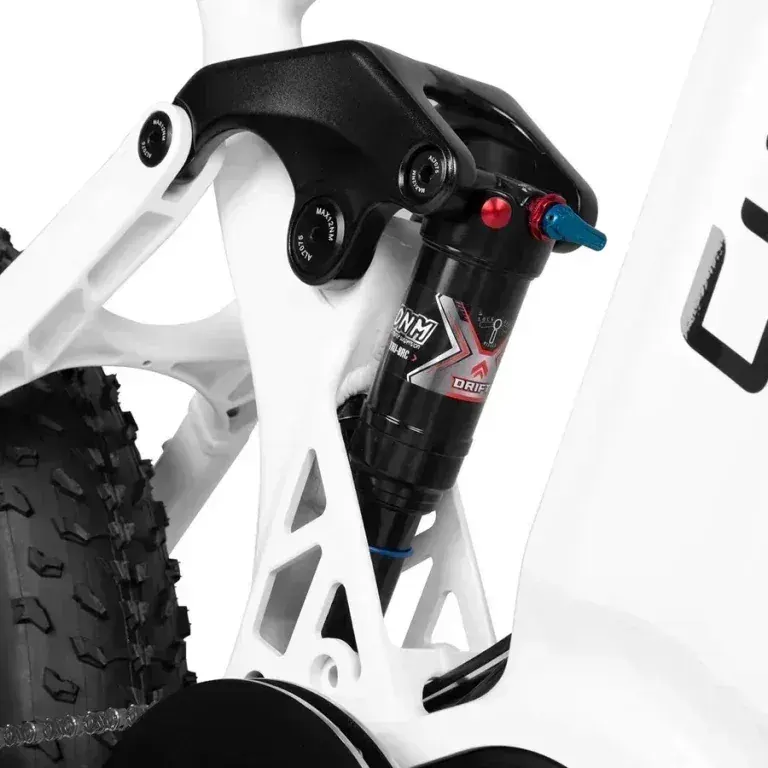 Cyrusher Trident hydraulic disc brake caliper and rotor.