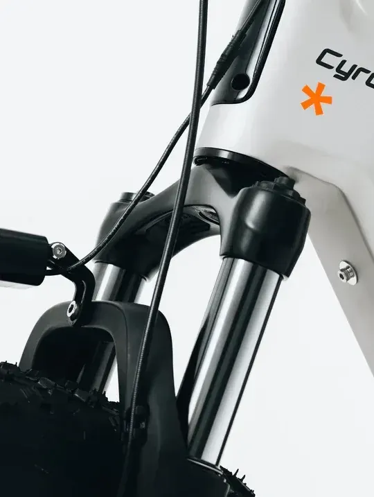 Cyrusher Zenith Fat Tire Electric Bike image 11
