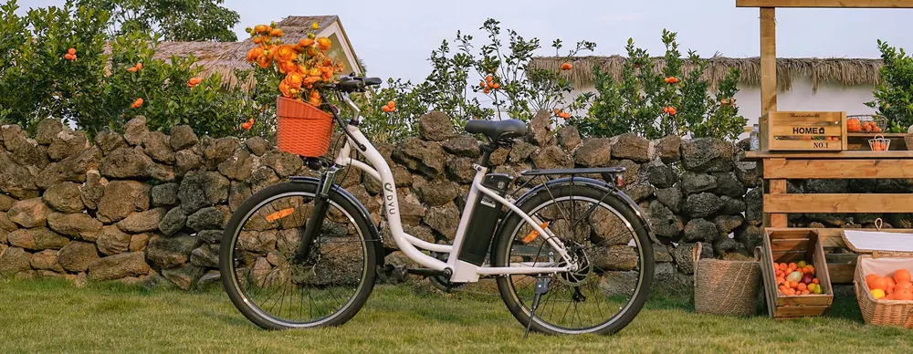 DYU C6 electric bike recommended for rider height 165-175 cm