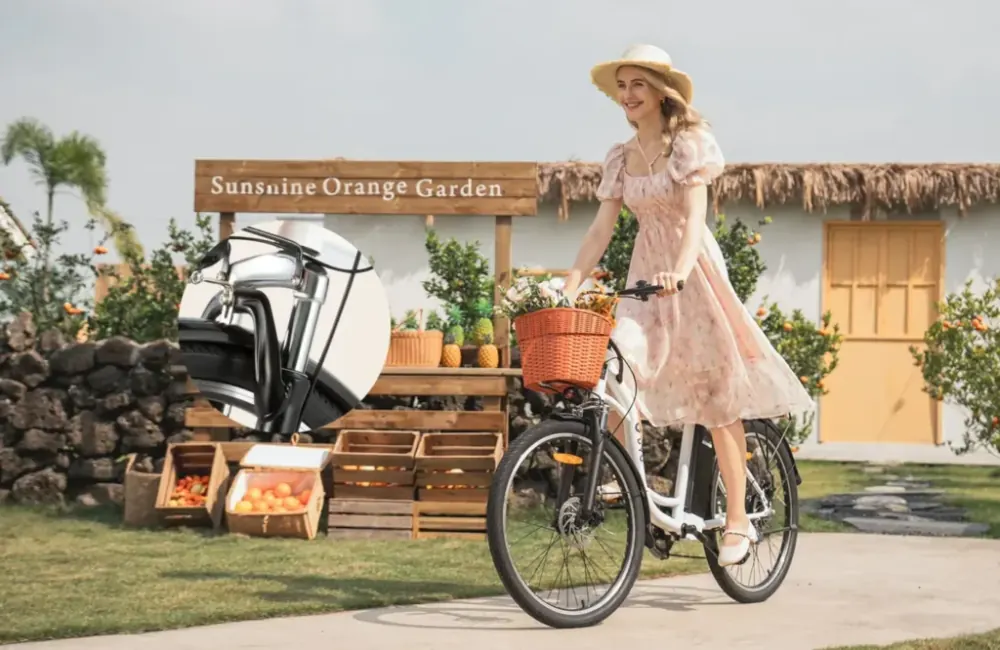 DYU C6 City Hybrid Electric Bike image 6