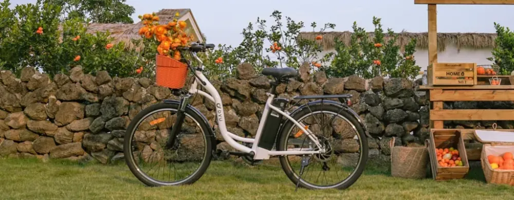 DYU C6 City Hybrid Electric Bike image 8