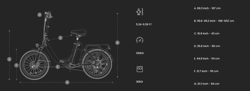 Unisex DYU C9 folding electric bike for all riders