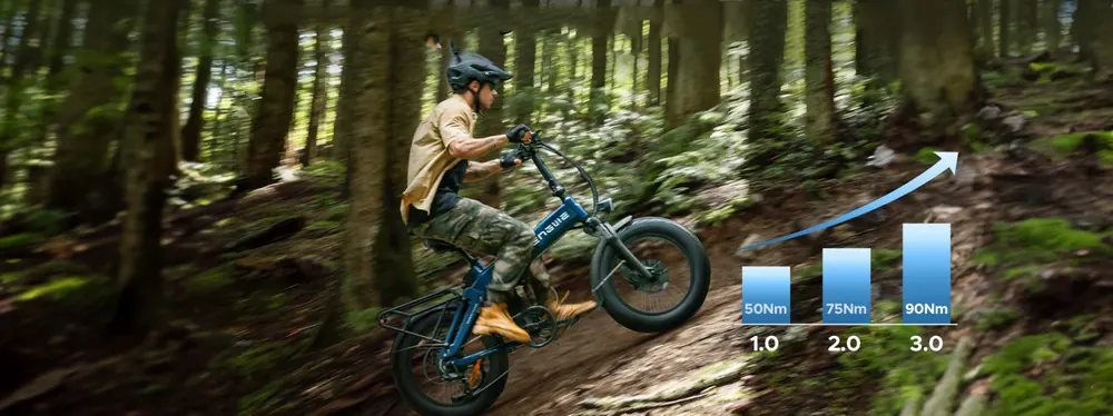 E-Bike Engine Pro 3.0 Boost in size L frame