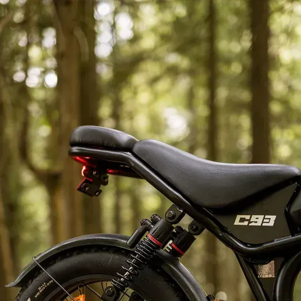 Emoko C93 Dual Motor Fat Tire E-Bike image 12