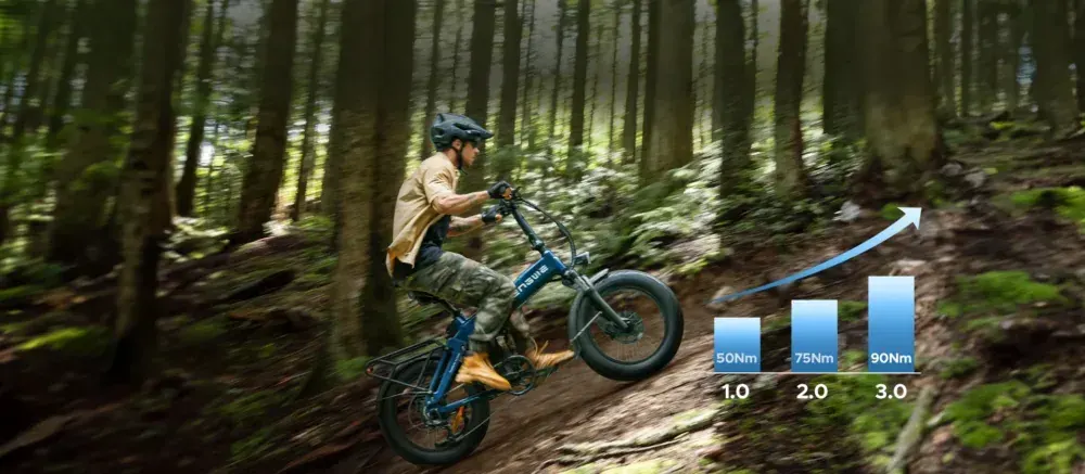 Engwe Engine Pro 3.0 Boost Folding Electric Bike image 6