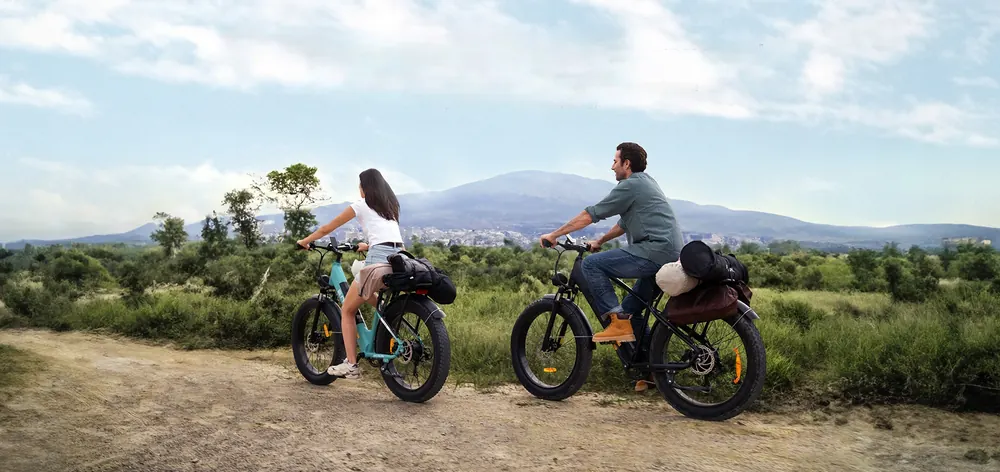 ENGWE E26 ST All-Terrain Electric Bike image 11