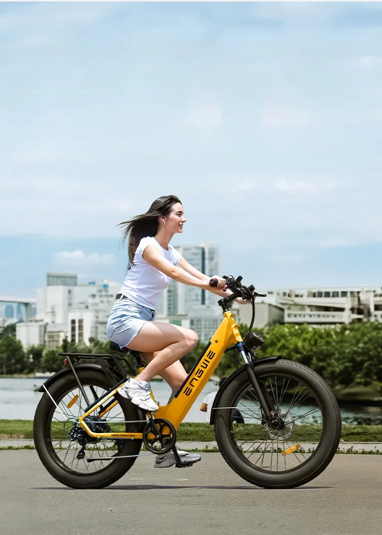 ENGWE E26 ST All-Terrain Electric Bike image 5