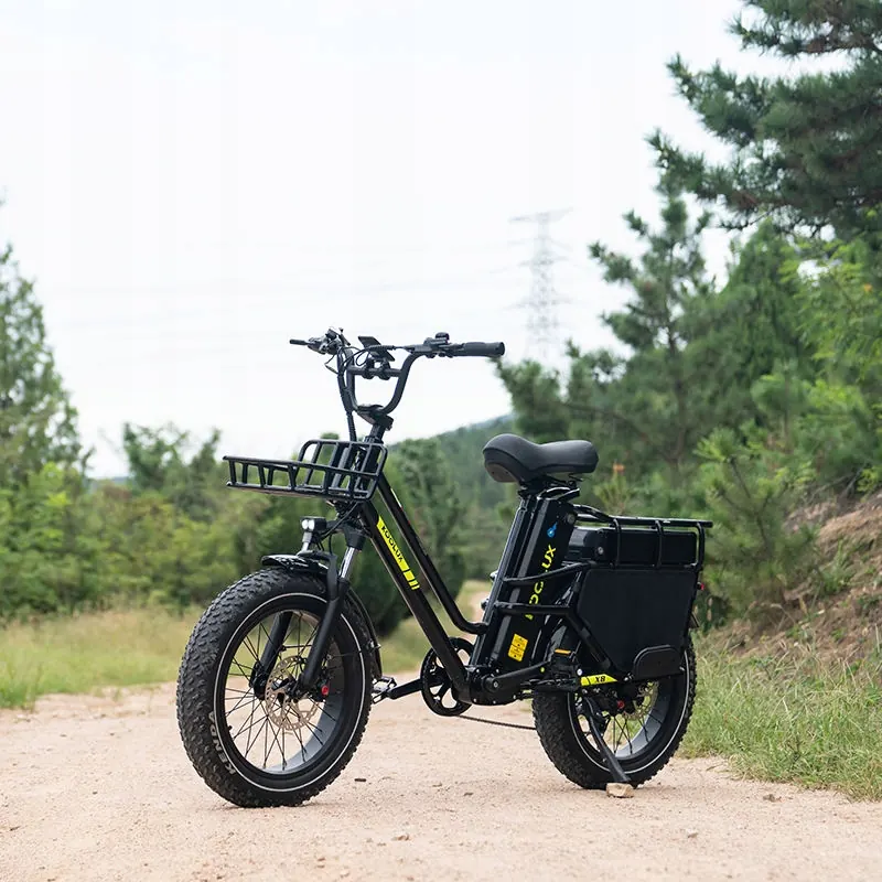 Size L frame of KOOLUX X8 electric bike for taller riders.