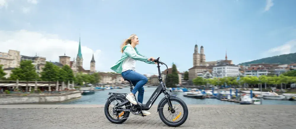 Engwe L20 3.0 Boost Folding Electric Bike image 6