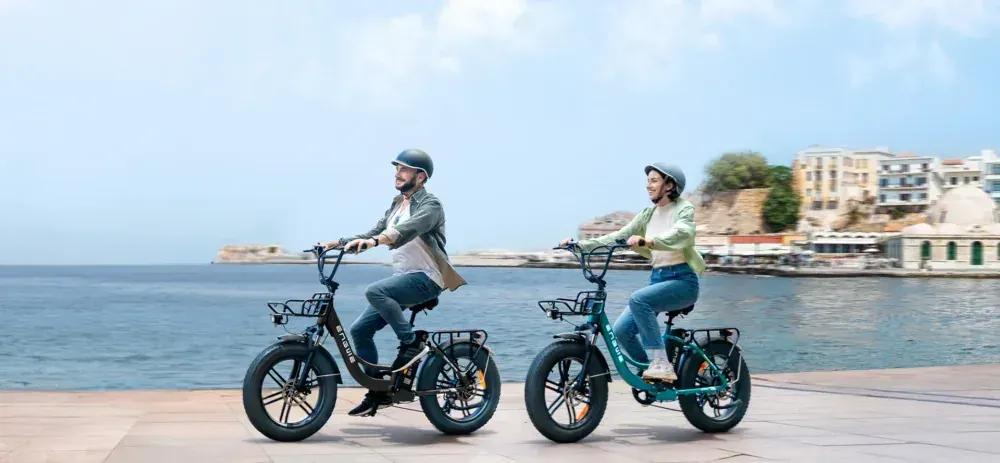 Engwe L20 Boost Fat Tire Electric Bike, product photo
