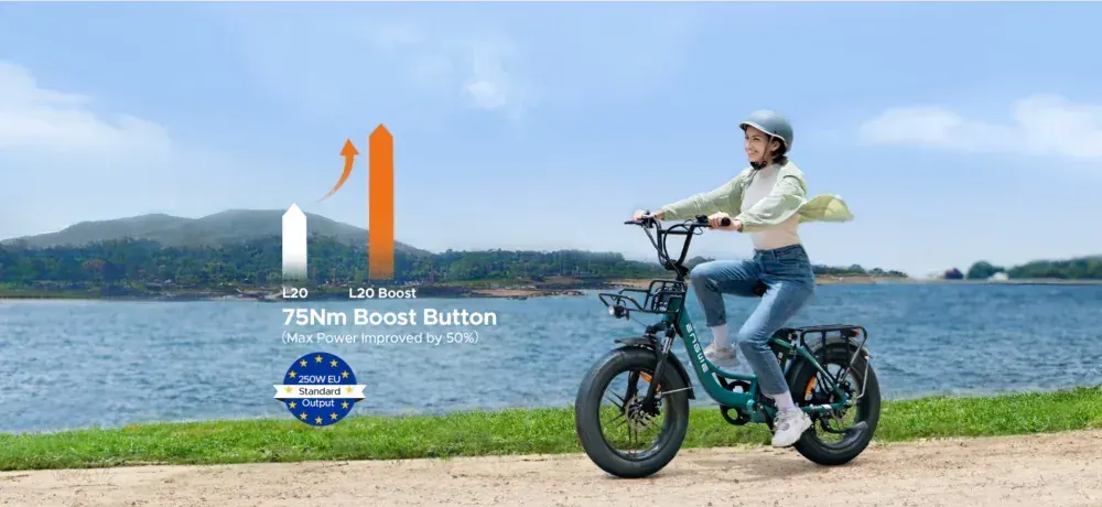 Engwe L20 Boost Fat Tire Electric Bike image 4