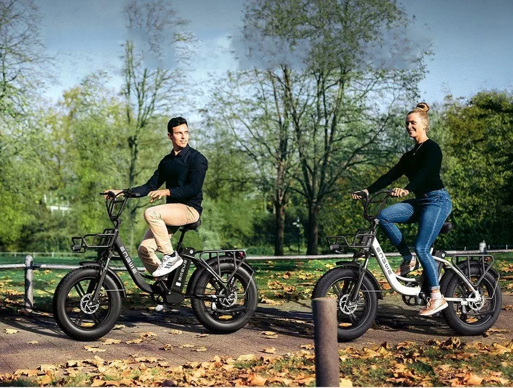 Engwe L20 electric bicycle manufacturer code ENGWE L20