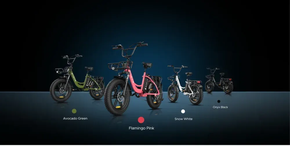 Engwe L20 Fat Tire Electric Bike image 10