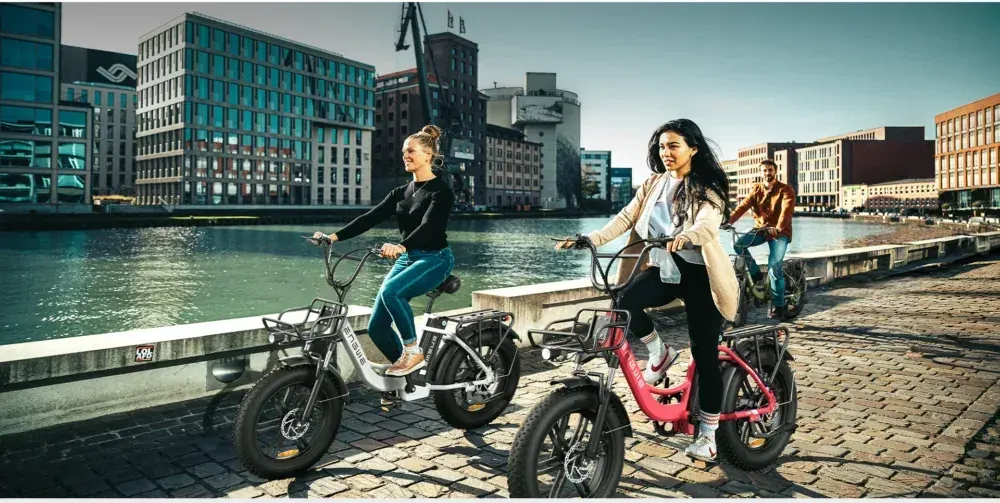 Engwe L20 Fat Tire Electric Bike image 6