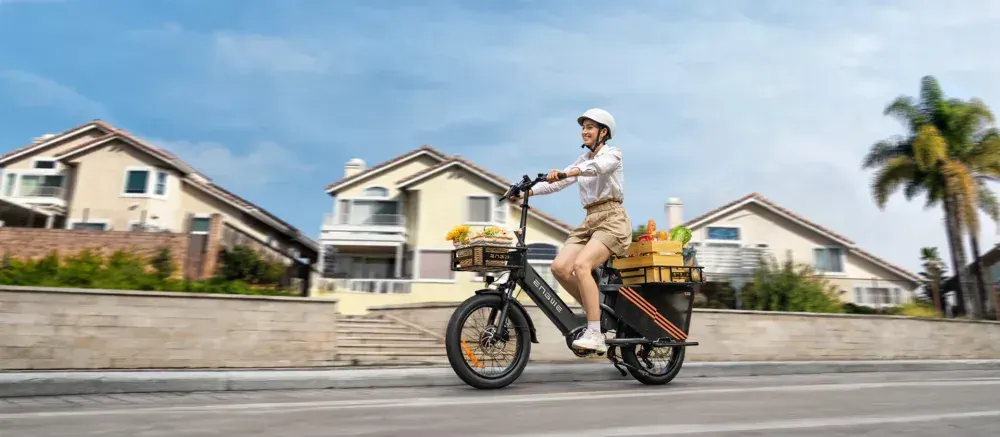 Engwe LE20 Electric Cargo Bike image 10