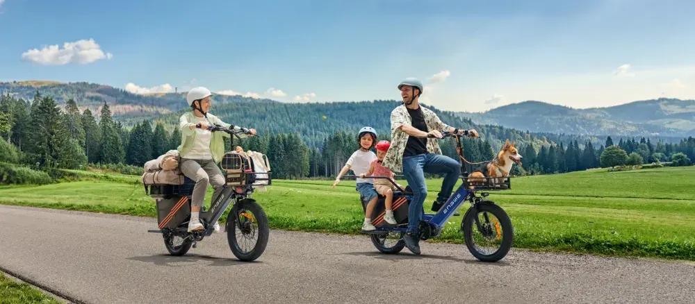 Engwe LE20 Electric Cargo Bike image 9