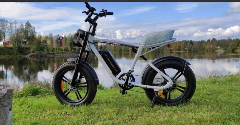 ENGWE M20 Electric Mountain Bike image 9