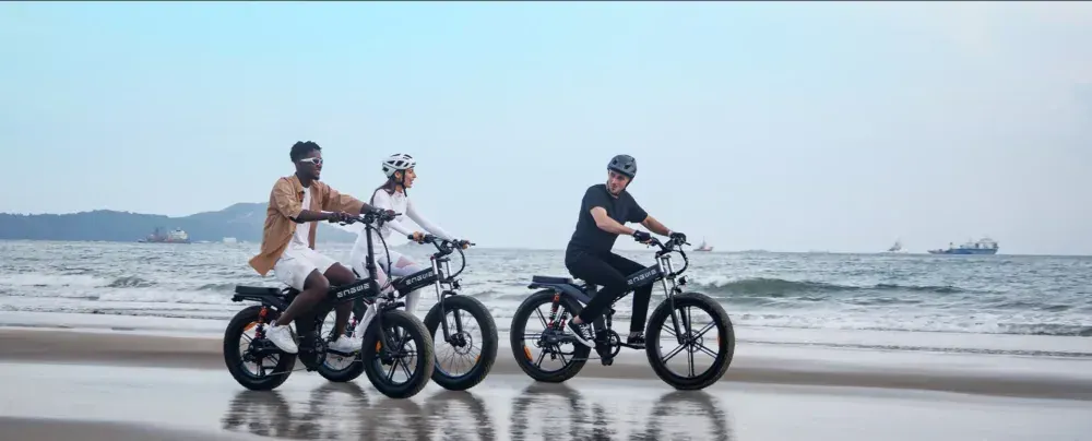 Engwe X20/X24/X26 All Terrain Foldable Electric Bike image 8