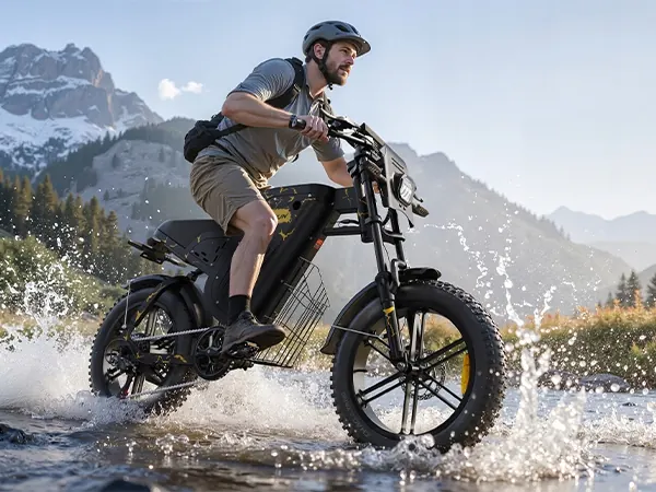 VARUN X-Plorer Beast Fat Tire Electric Bike image 9