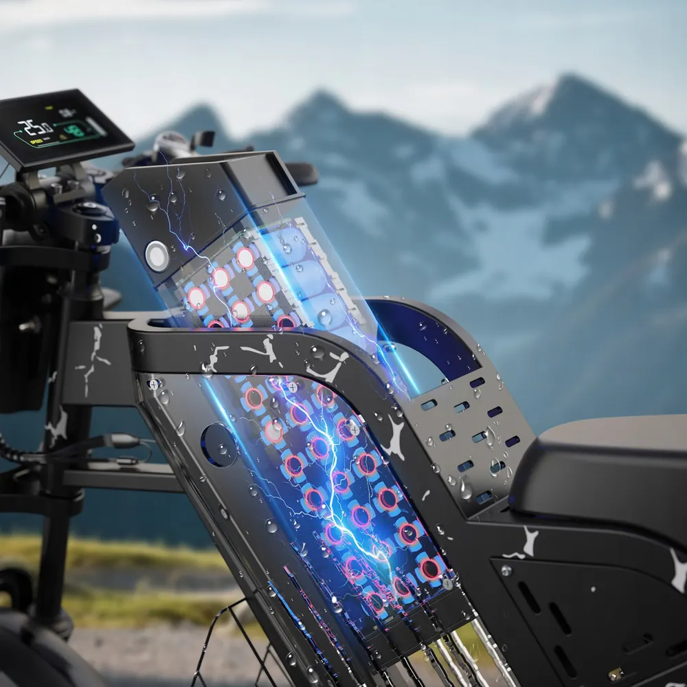 Pre-assembled and adjusted Varun X-Plorer Beast electric bike