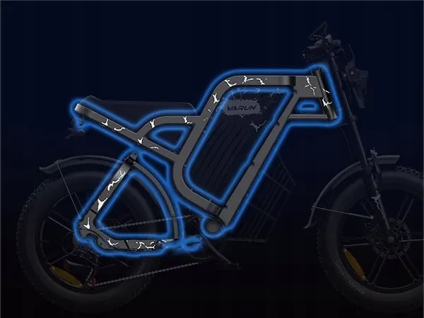 Electric bike 250W 48V 31.5Ah with 20x4.0 fat tires, rider height 155-200 cm