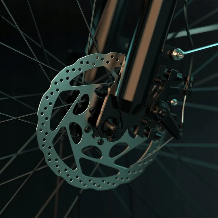 ESKUTE C100 Plus Electric Bike image 10