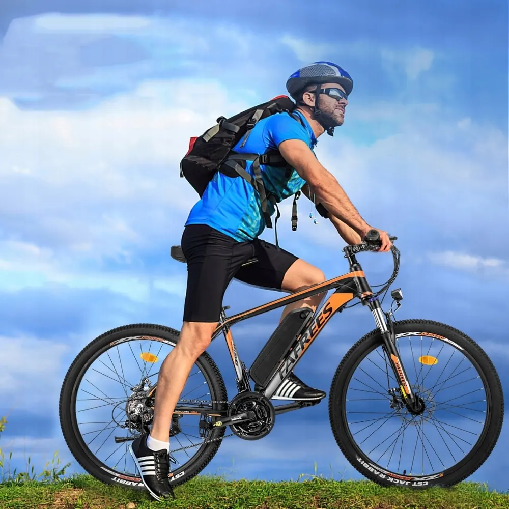 FAFREES 26 Hailong One Electric Mountain Bike image 15