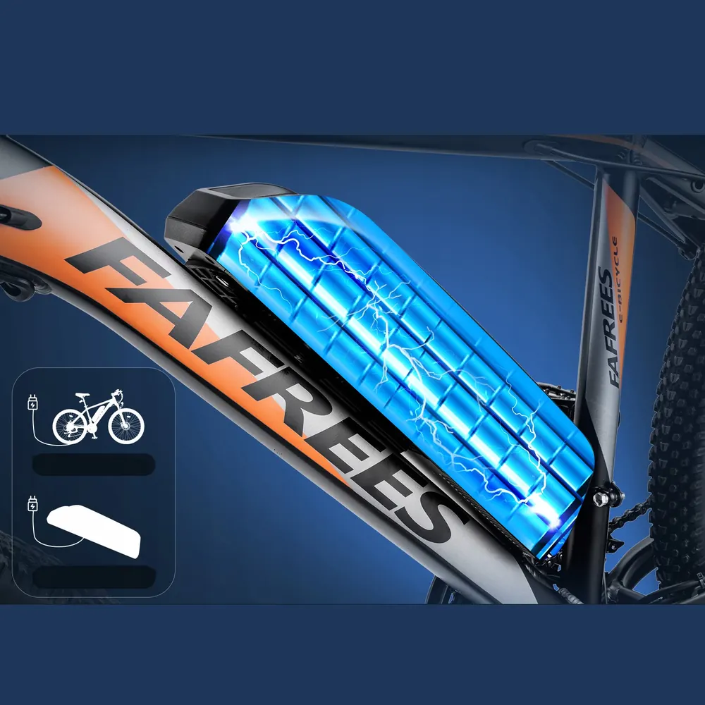 FAFREES Hailong One e-bike 250W motor power specification detail