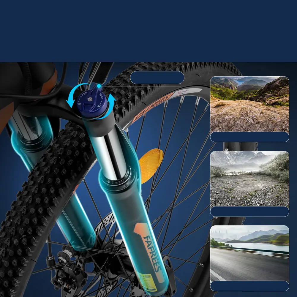 FAFREES 26 Hailong One e-bike maximum load capacity 120 kg