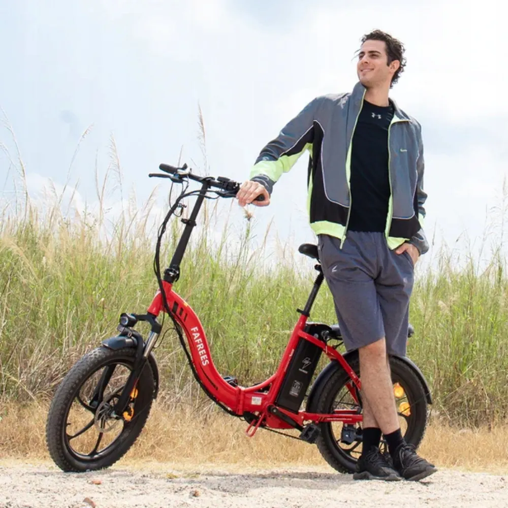 Fafrees F20 electric bike suitable for riders 160-195 cm tall, step-through design