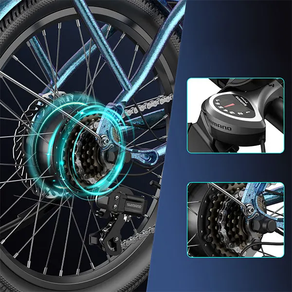 FAFREES F20 Lasting e-bike in black colour finish
