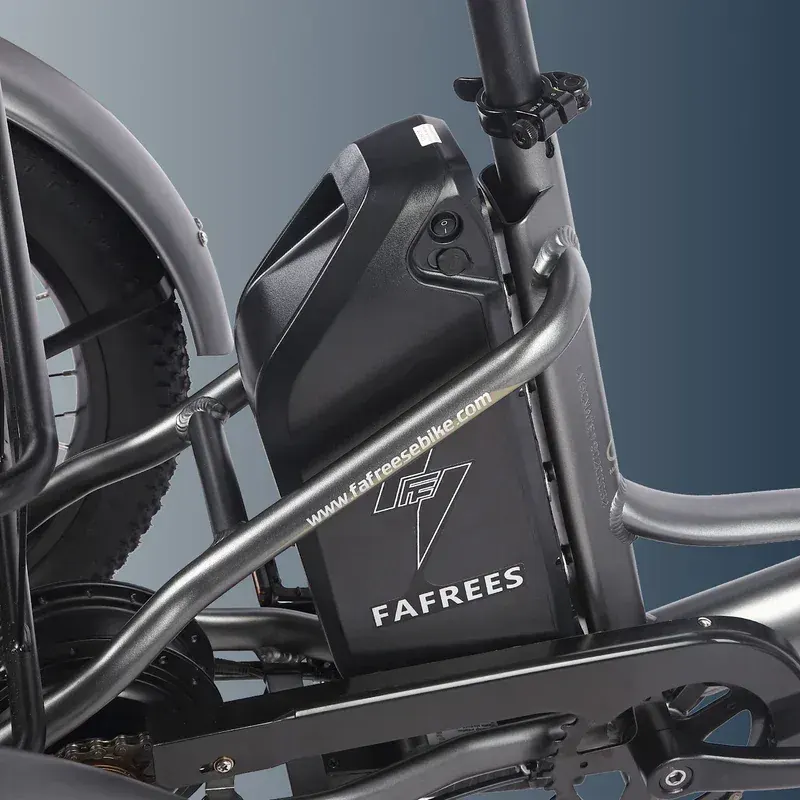 Fafrees F20 Mate HS Electric Trike image 5
