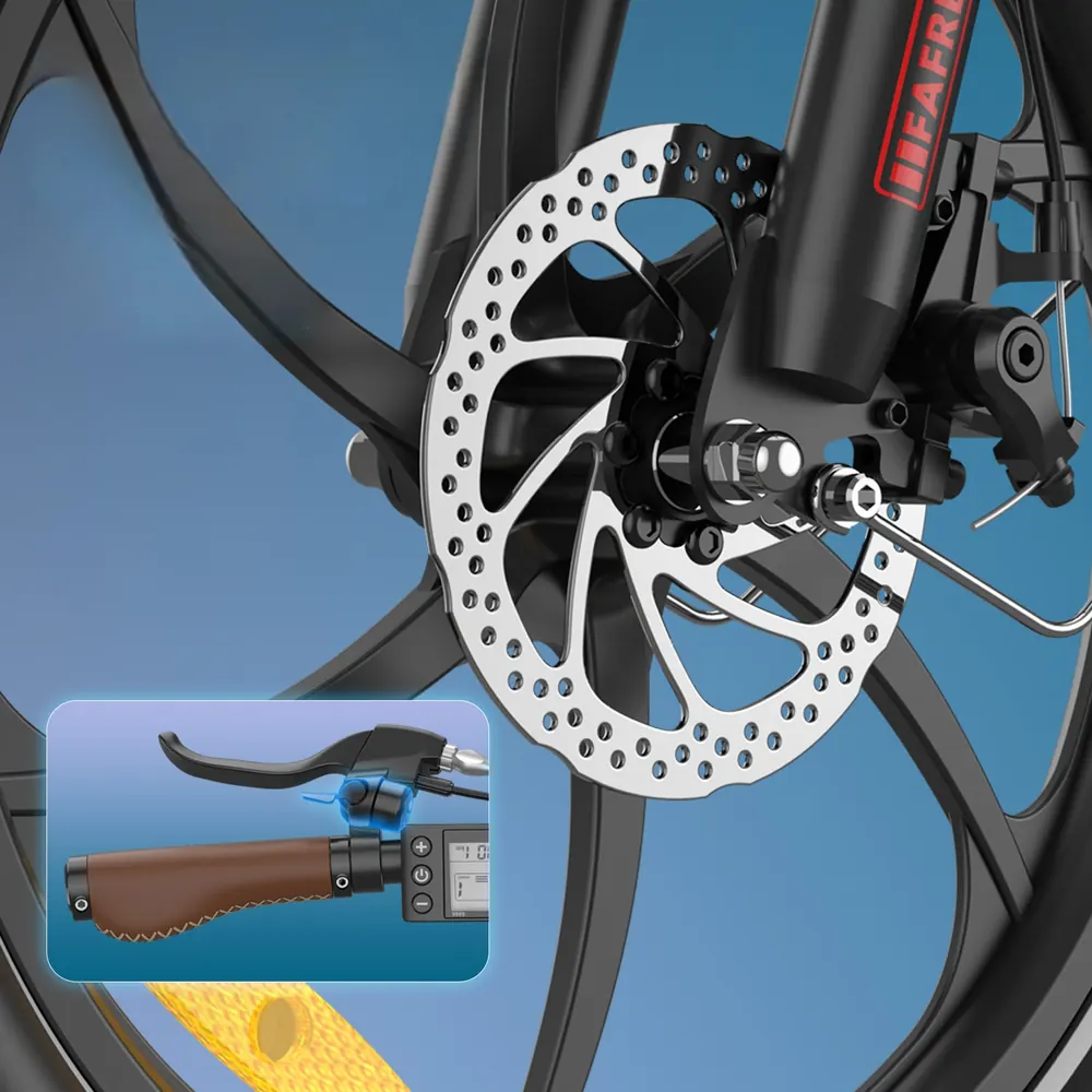 FAFREES F20+ Pro Folding Electric Bike image 4