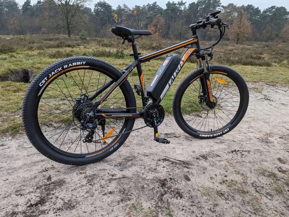 FAFREES F28 MTB Electric Bike image 14