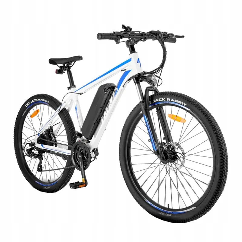FAFREES F28 MTB Electric Bike image 2