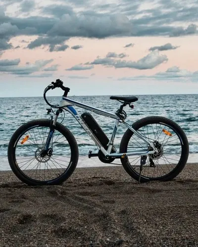 FAFREES F28 MTB Electric Bike image 4