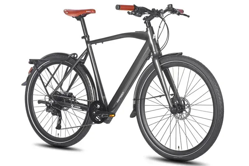 Fafrees F700M Electric City Bike image 13