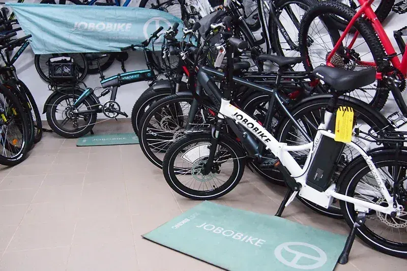 Fafrees FF20 Polar Fat Tire Folding Electric Bike image 8