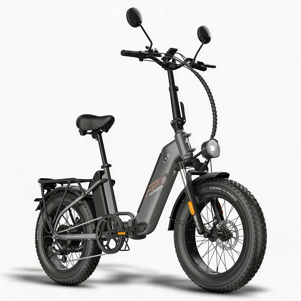 Fafrees FF20 Polar 20 inch electric bike 48V 24Ah battery black