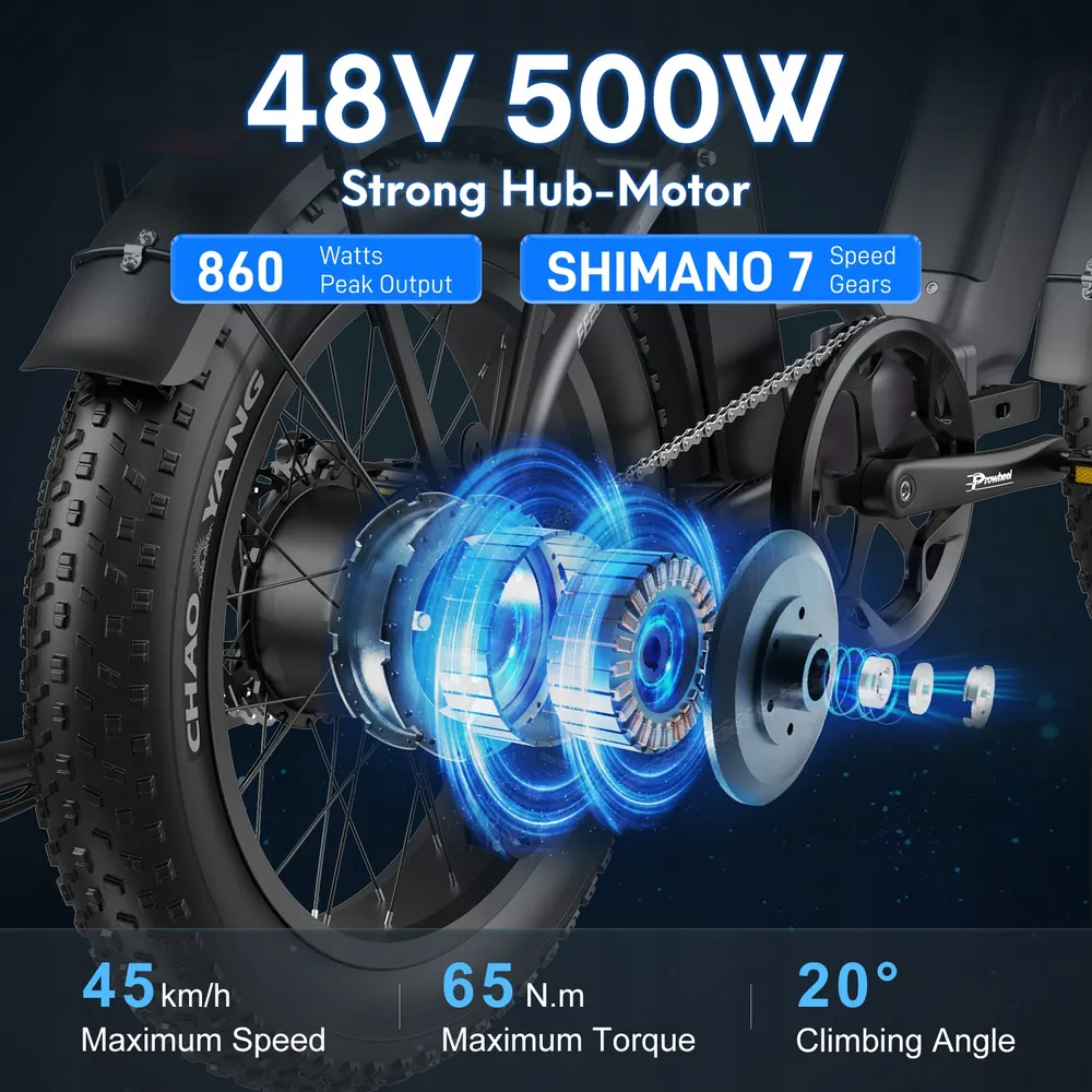 Fafrees FF20 Polar electric bike by Fafrees, black folding design.