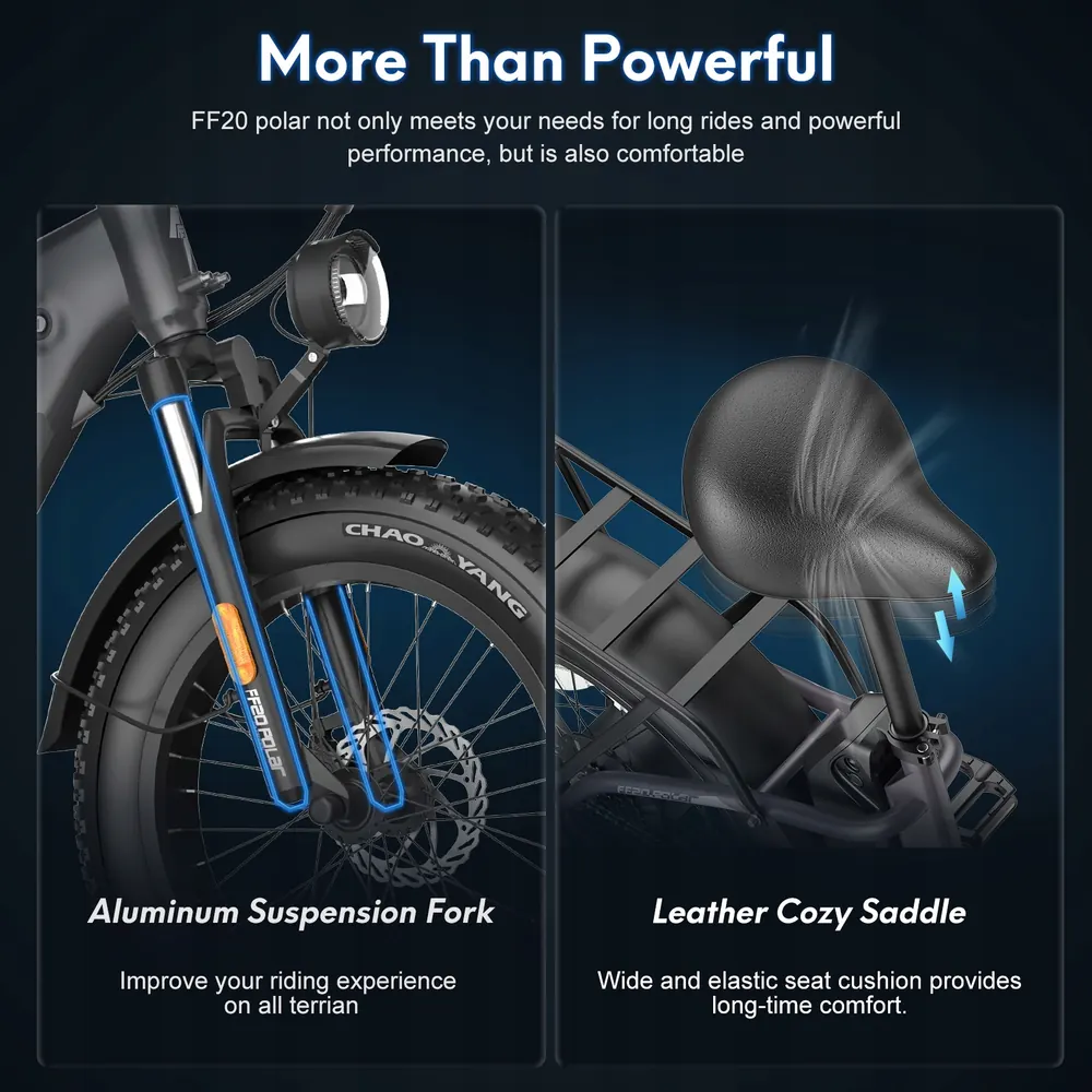 Fafrees FF20 Polar 24Ah battery electric bike model FF20 Polar black.