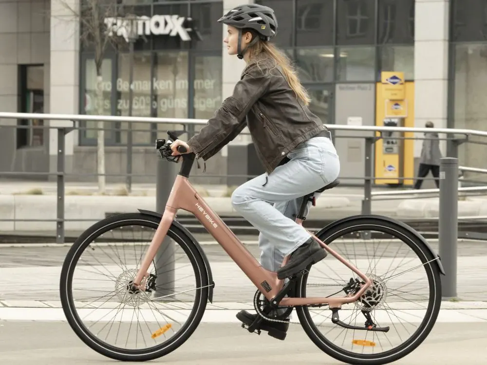 Heybike EC 1-ST Commuter E-Bike image 8