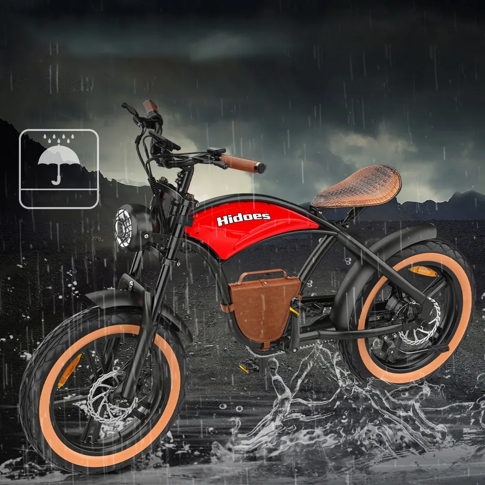 HIDOES B10 Electric Scooter image 10