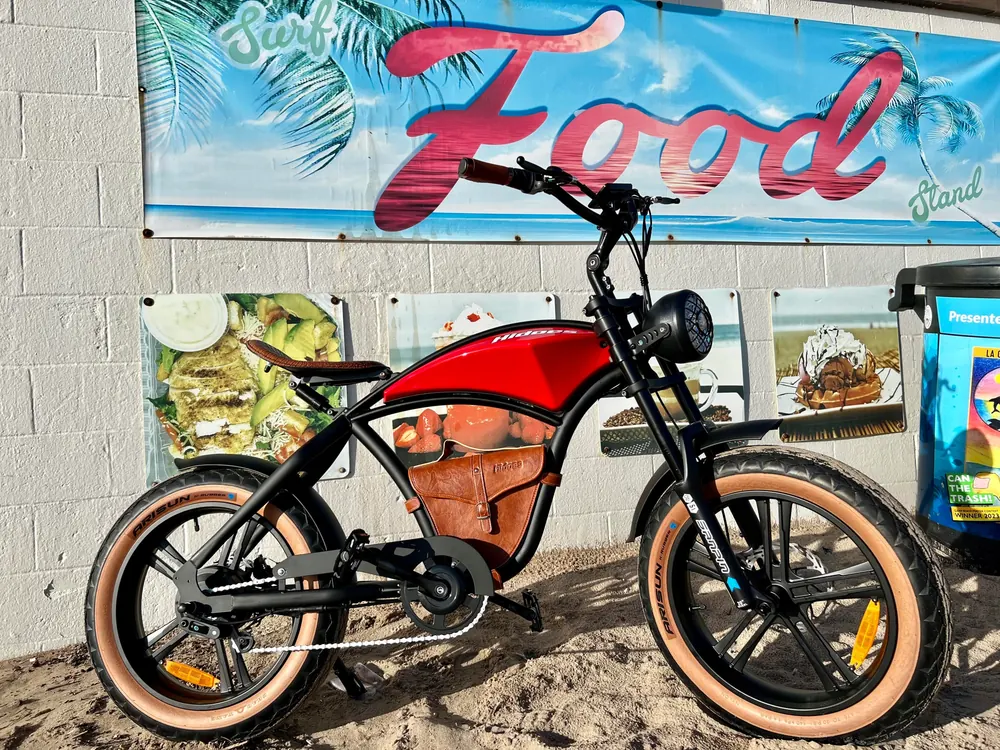 HIDOES B10 Electric Scooter image 2